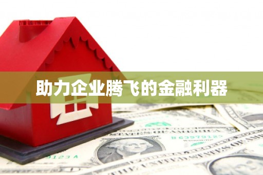雷州助力企业腾飞的金融利器