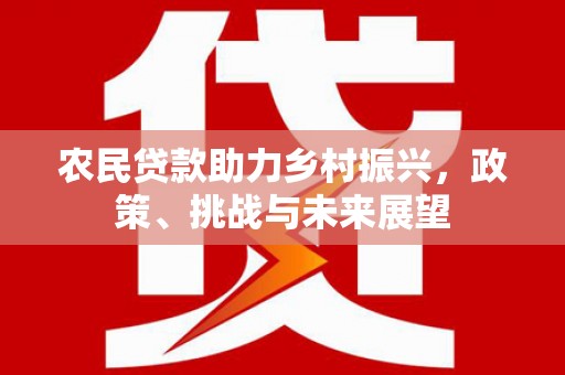 湛江农民贷款助力乡村振兴，政策、挑战与未来展望