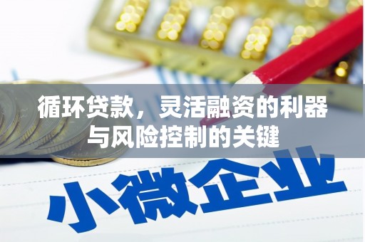 仙游循环贷款，灵活融资的利器与风险控制的关键