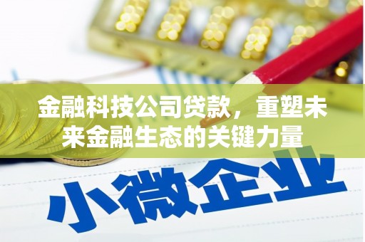 大丰金融科技公司贷款，重塑未来金融生态的关键力量