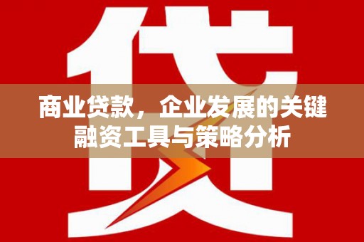 台山商业贷款，企业发展的关键融资工具与策略分析