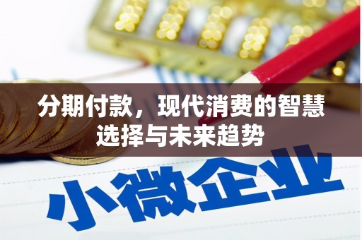 善化分期付款，现代消费的智慧选择与未来趋势