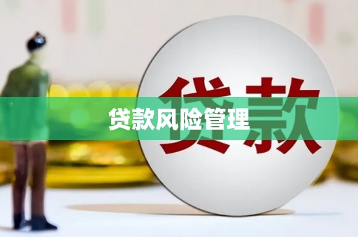 富平贷款风险管理