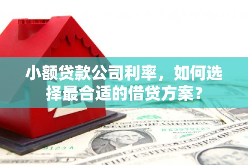 井陉小额贷款公司利率，如何选择最合适的借贷方案？