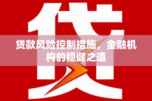 芦淞贷款风险控制措施，金融机构的稳健之道