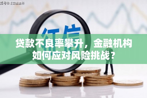 宁武贷款不良率攀升，金融机构如何应对风险挑战？