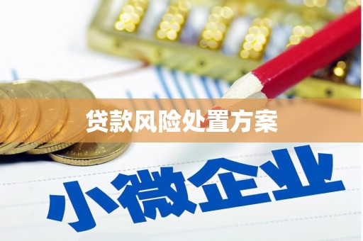 剑河贷款风险处置方案