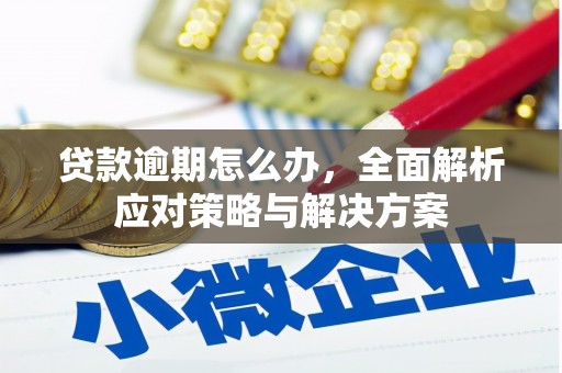 新罗贷款逾期怎么办，全面解析应对策略与解决方案