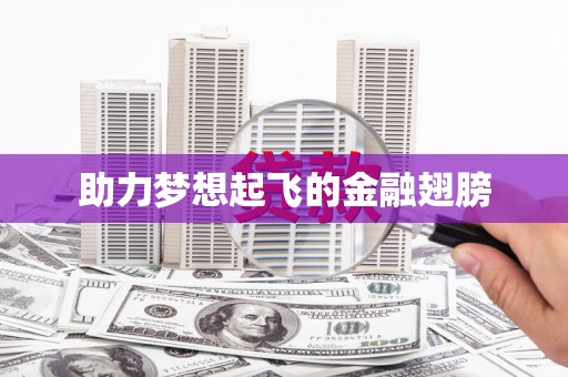 成华助力梦想起飞的金融翅膀
