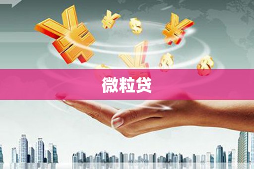 龙山微粒贷