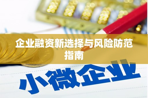 西屿企业融资新选择与风险防范指南