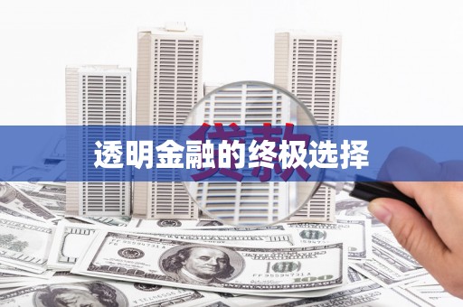 平舆透明金融的终极选择