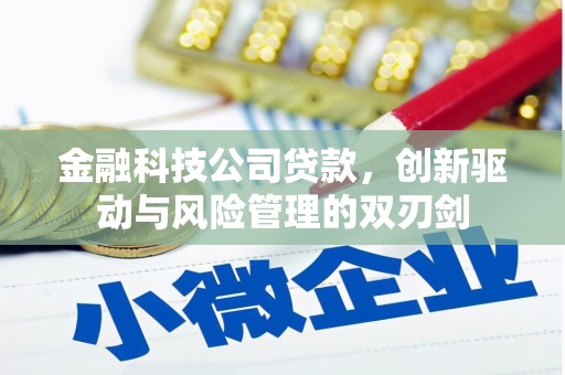 嘉模堂区金融科技公司贷款，创新驱动与风险管理的双刃剑